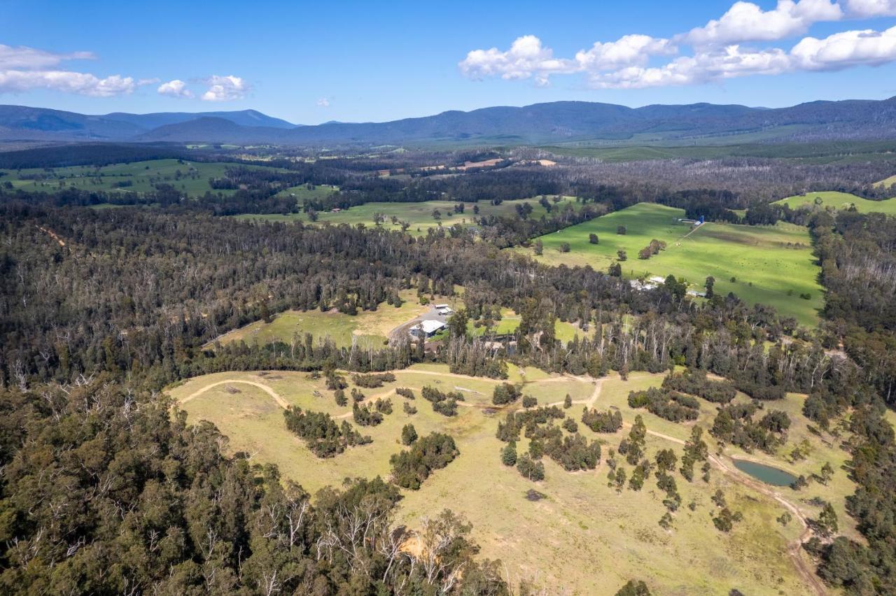 Saladin Lodge Narbethong Экстерьер фото
