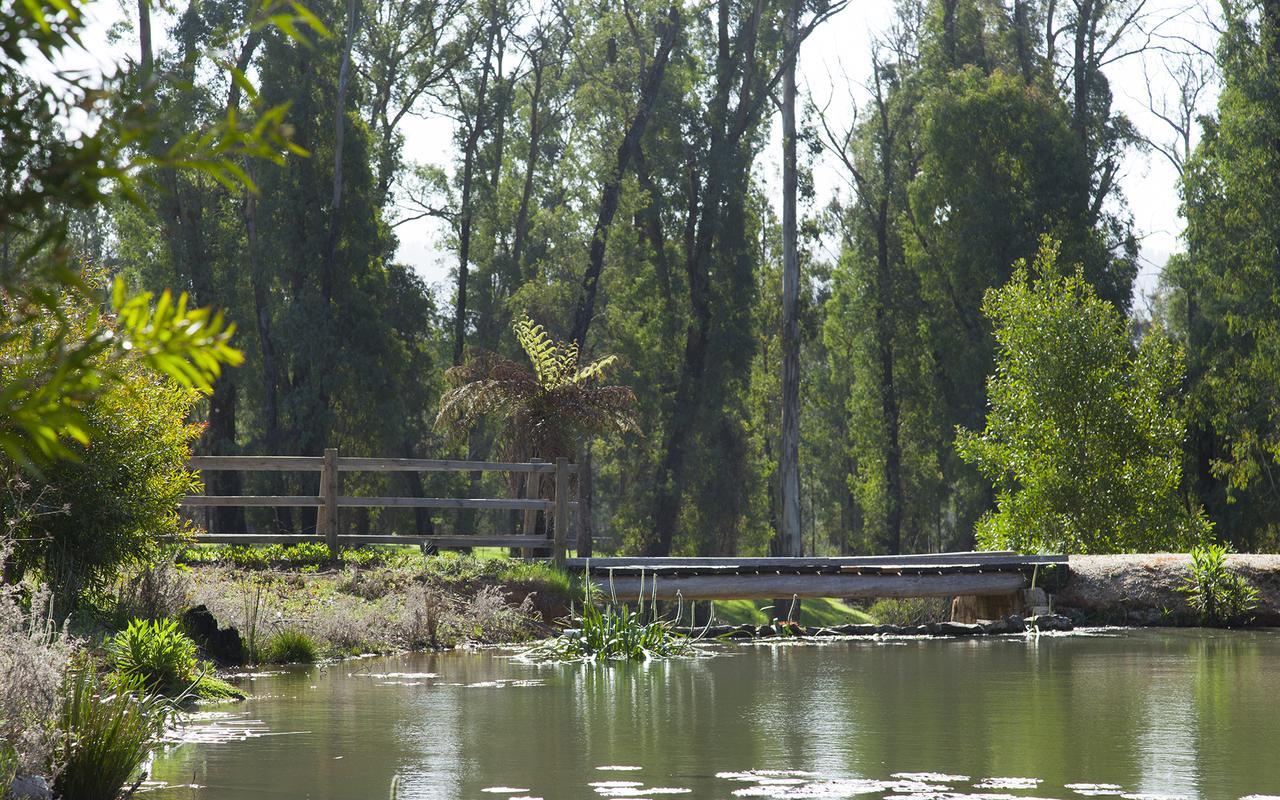 Saladin Lodge Narbethong Экстерьер фото