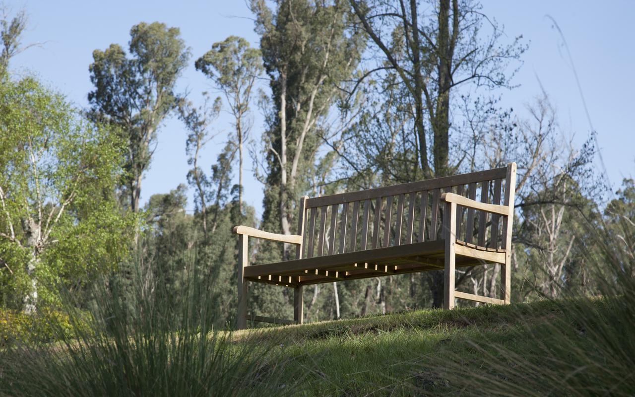Saladin Lodge Narbethong Экстерьер фото
