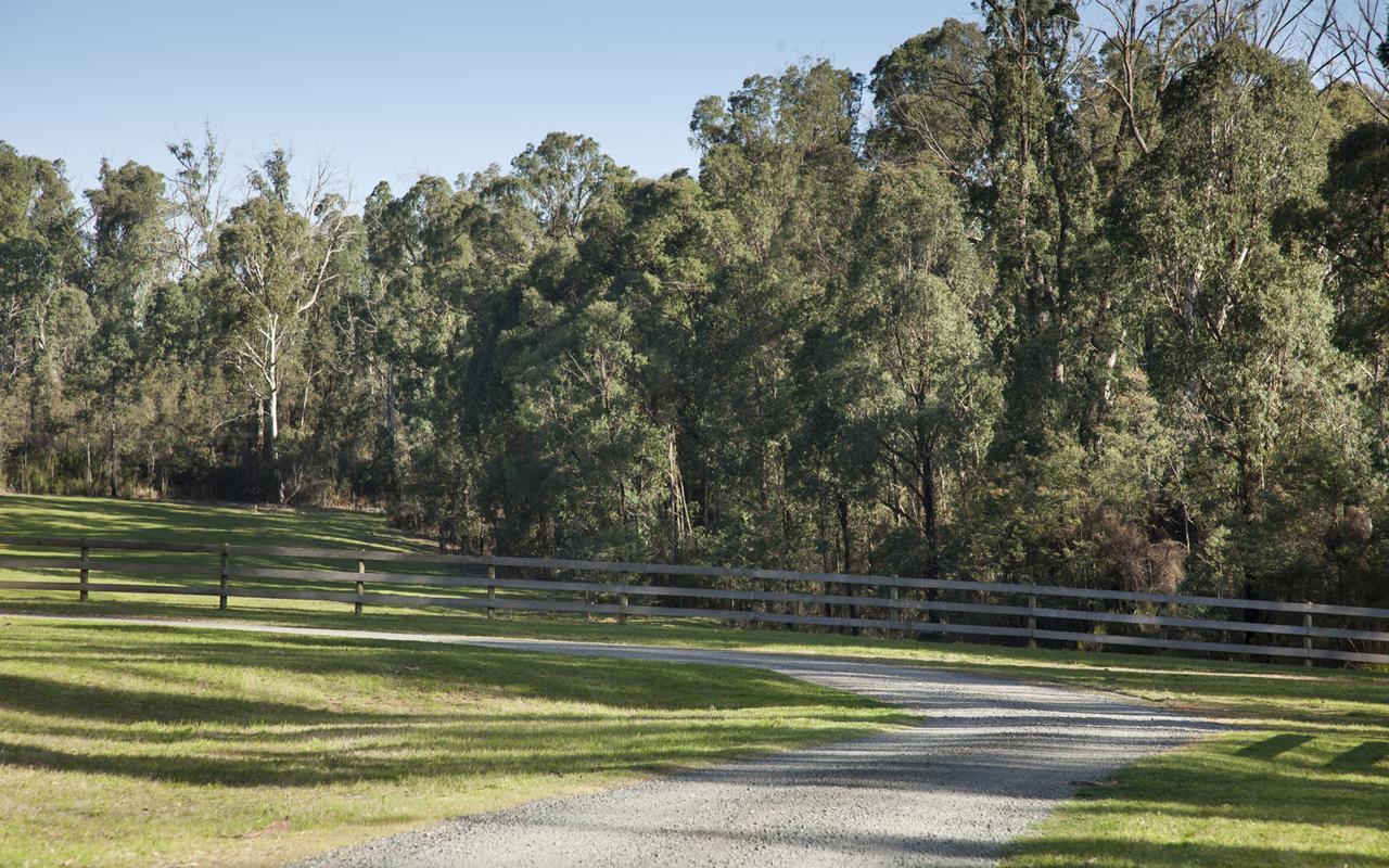 Saladin Lodge Narbethong Экстерьер фото